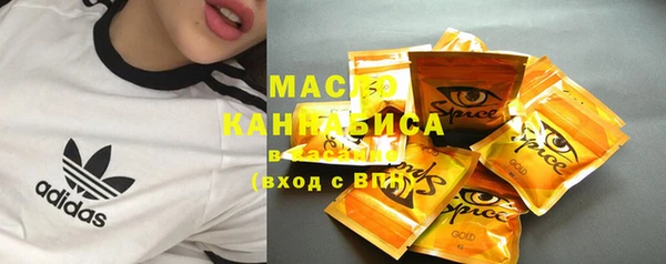 амф Вяземский