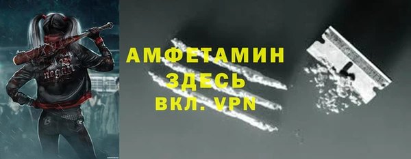 амф Вяземский