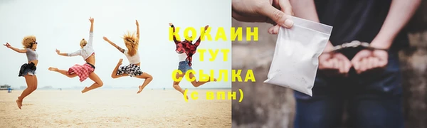 амф Вяземский