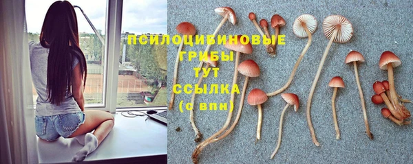 амф Вяземский