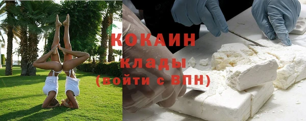 амф Вяземский