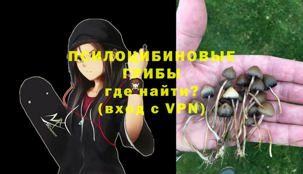амф Вяземский