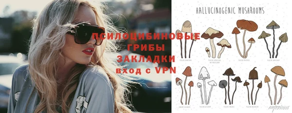 тгк Вязники